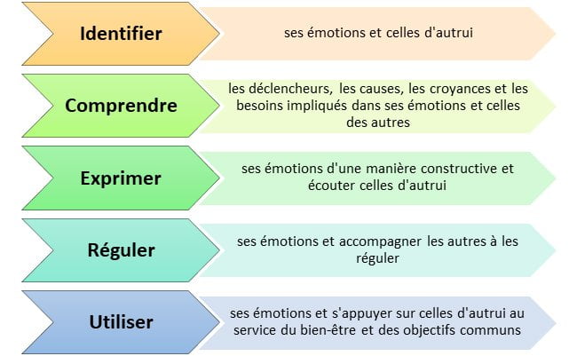 Comment identifier les 6 émotions fondamentales ?